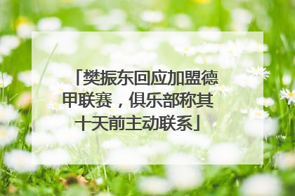 樊振东回应加盟德甲联赛，俱乐部称其十天前主动联系